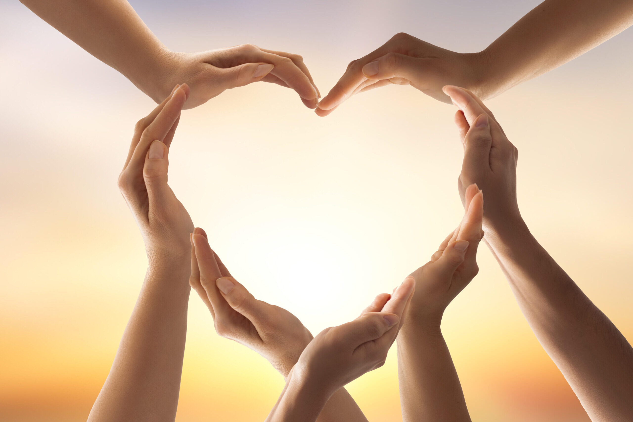 Symbol and shape of heart created from hands.The concept of unity, cooperation, partnership, teamwork and charity.